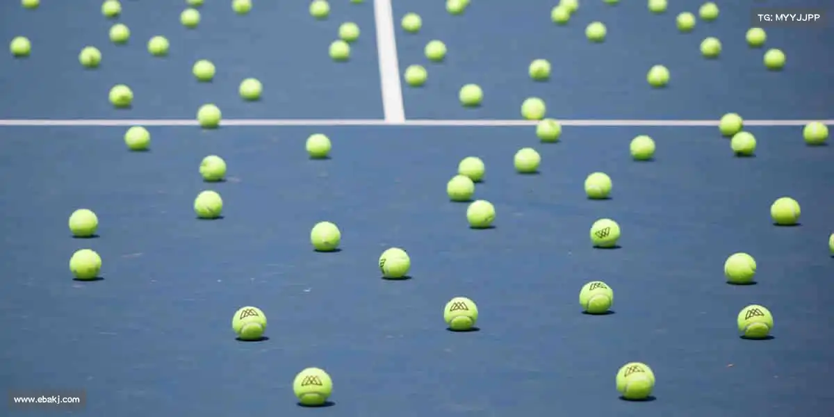 米兰官网🏋️‍♀️汗水不会说谎，坚持必有回响 —— 你的健康，由运动守护！